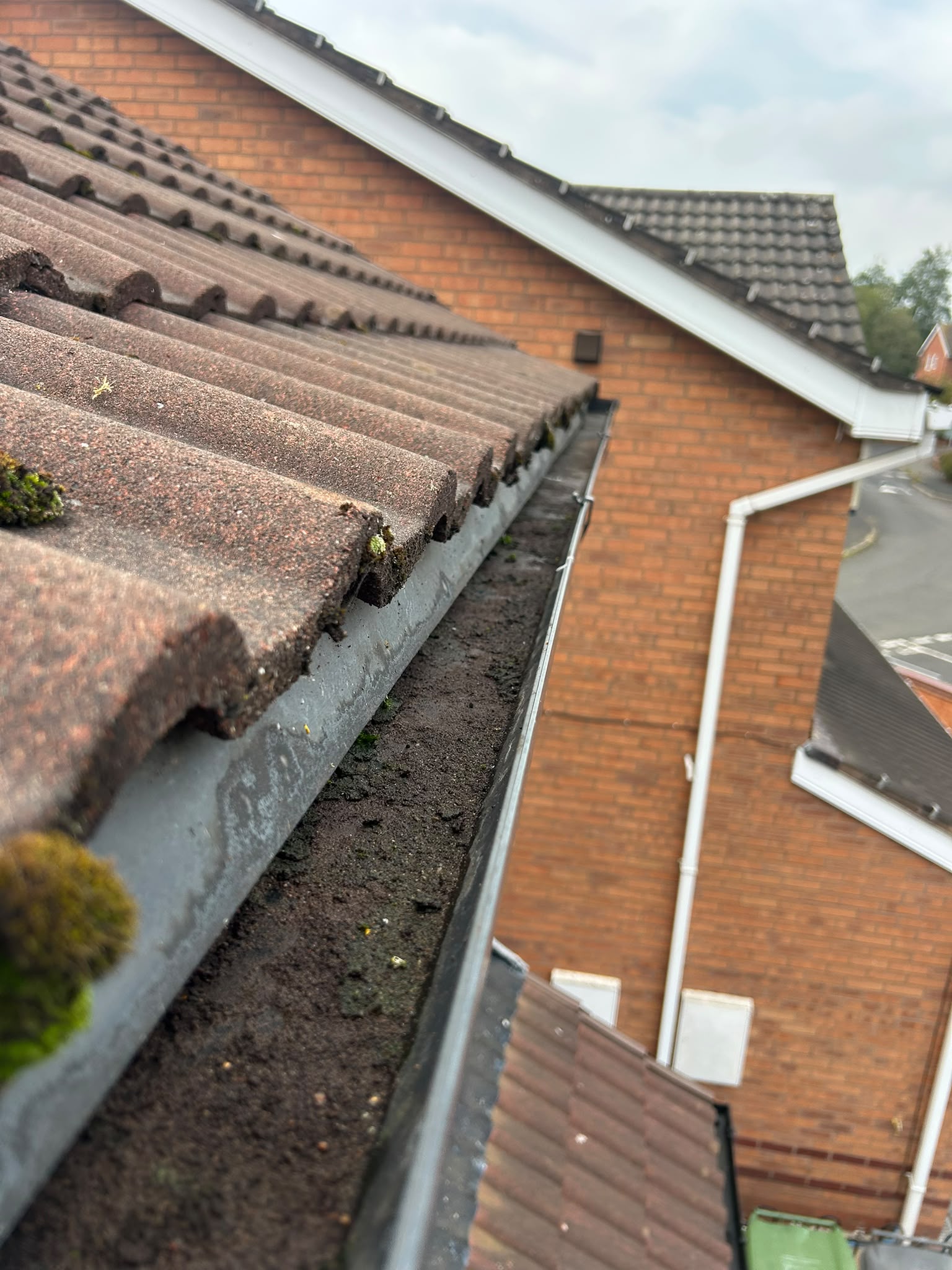 Gutter Cleaning