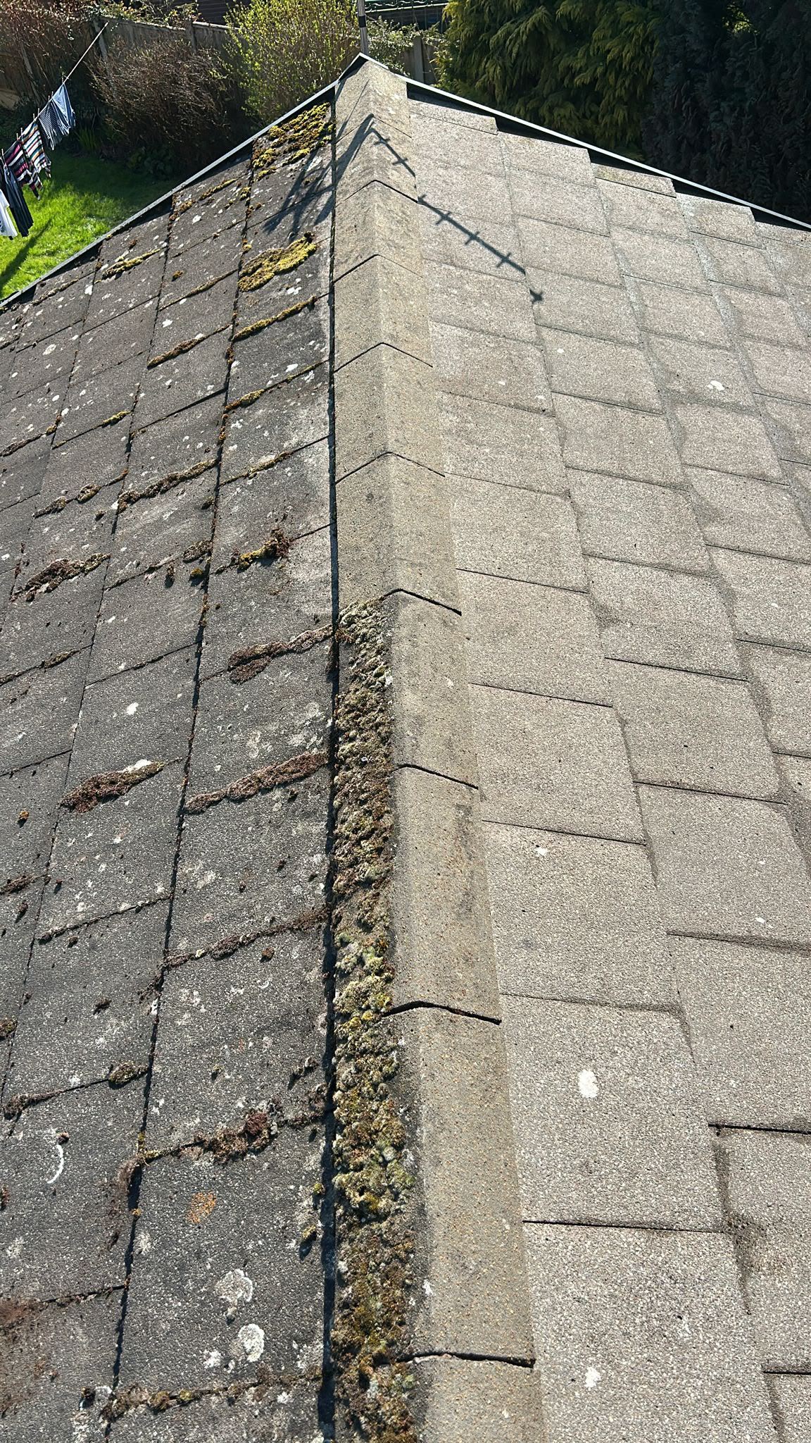 Roof Cleaning
